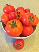 12th Jan 2016 - Homegrown tomatoes