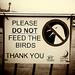 Feed the birds by davidrobinson