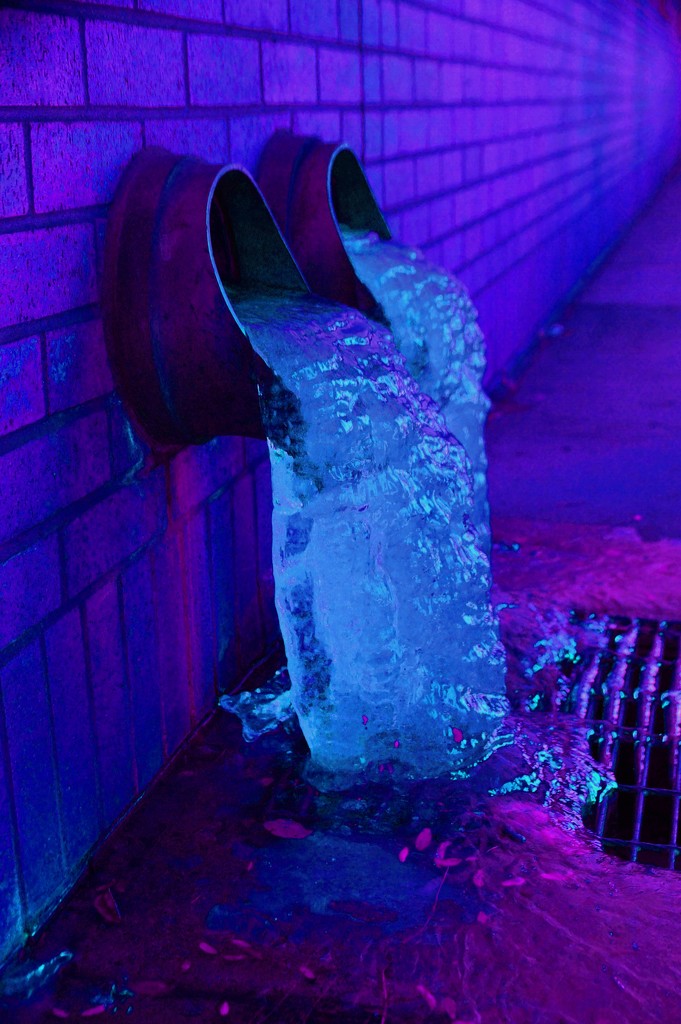 neon ice by joysabin