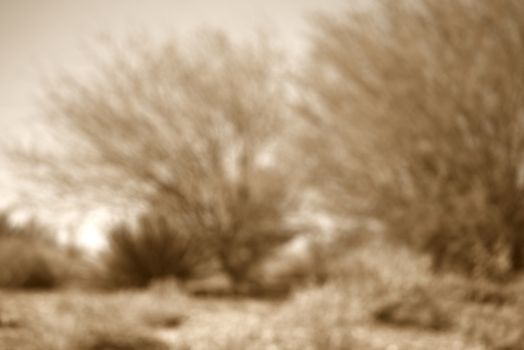 landscape sepia blur by blueberry1222