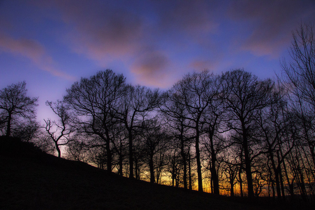 Evening daylight by shepherdman