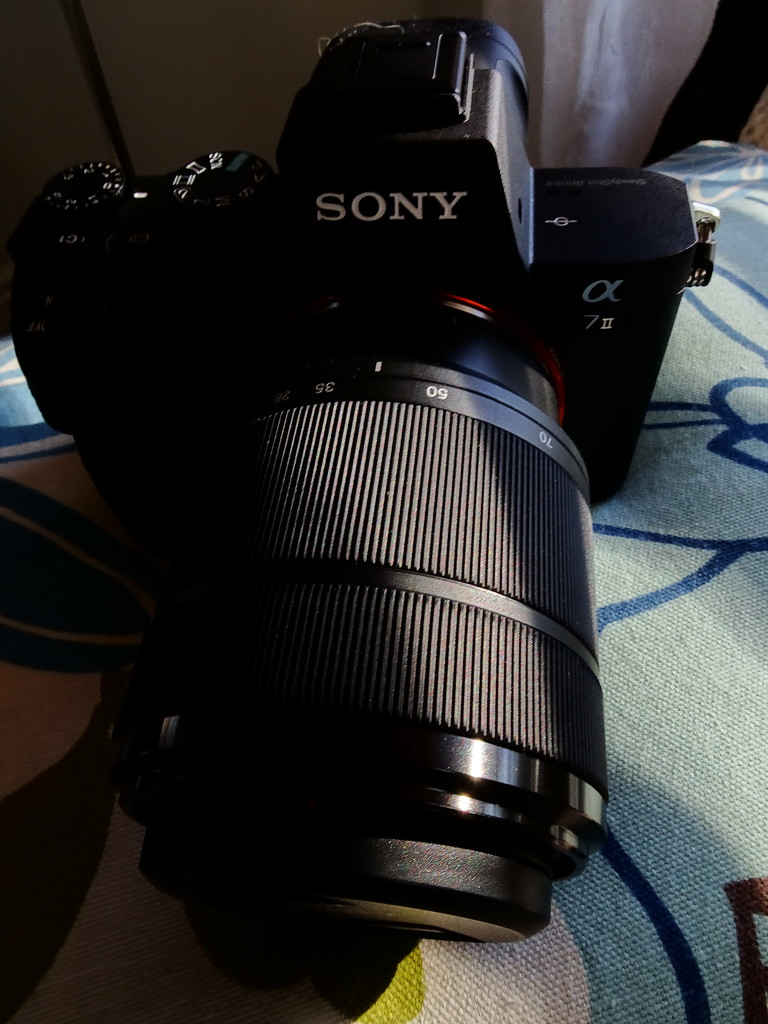New Camera Sony A7II by jae_at_wits_end