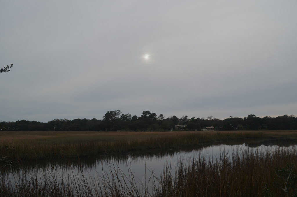 Marsh scene with sun trying to break through on a cloudy  day by congaree