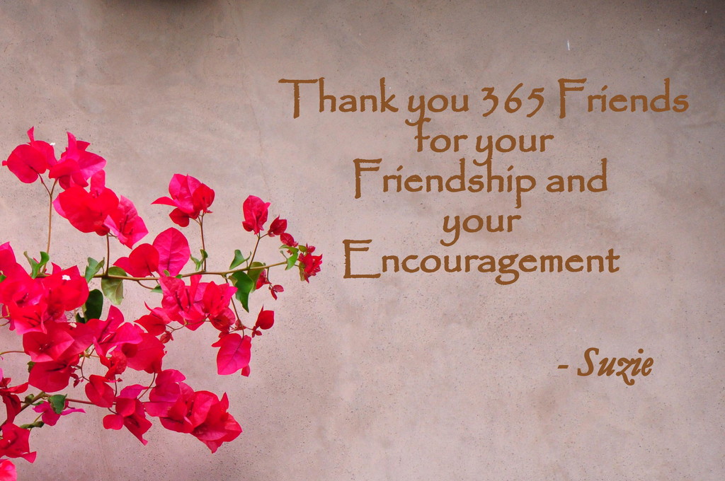 For My 365 Friends! by stownsend