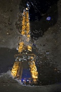 14th Jan 2016 - Eiffel Tower in a puddle
