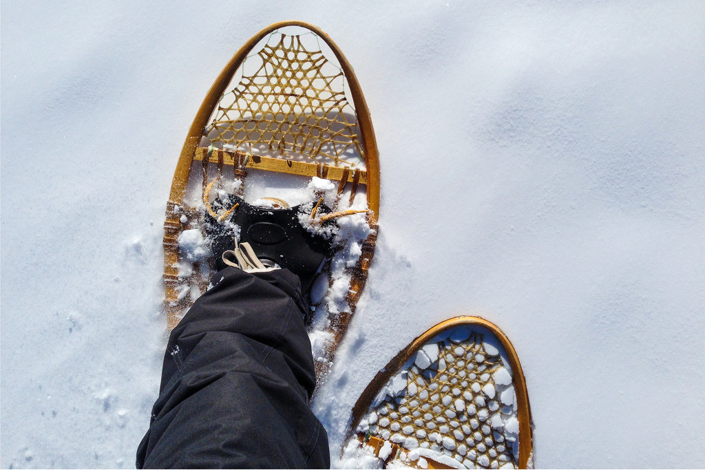 Snowshoeing by erinhull