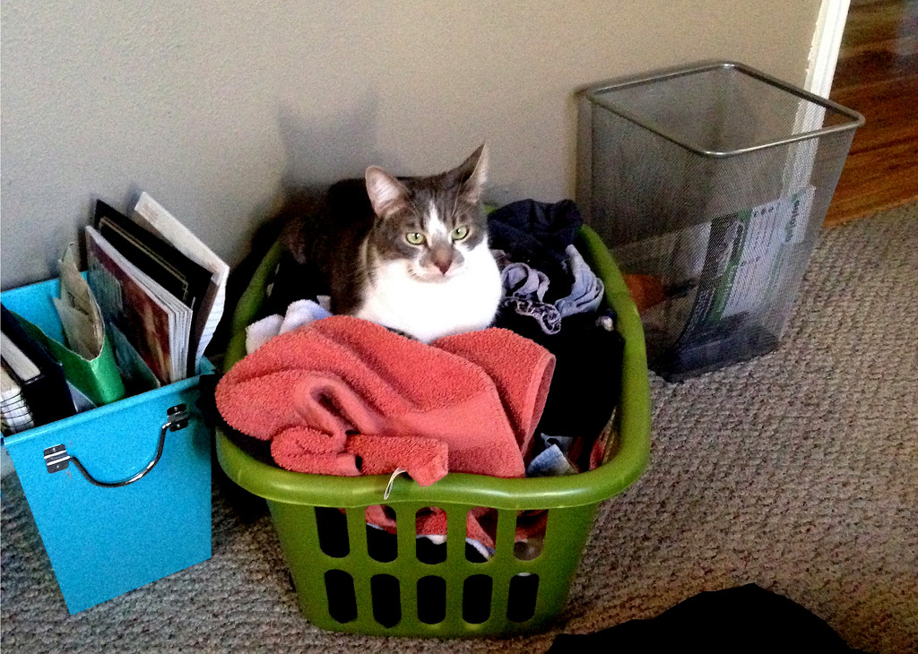 Laundry by erinhull