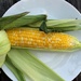 Corn  by brigette