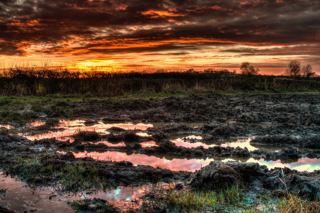 wet fields and sunset by jantan