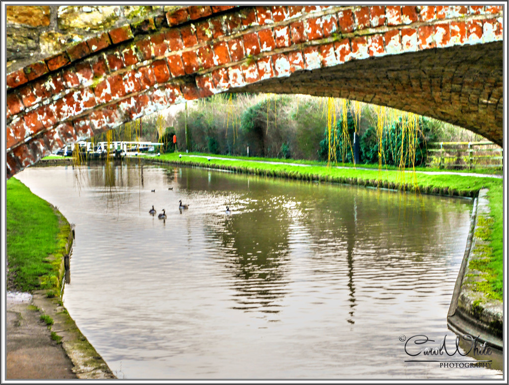 View Under The Bridge,Stoke Bruerne by carolmw