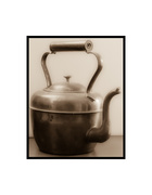 16th Jan 2016 - tea kettle