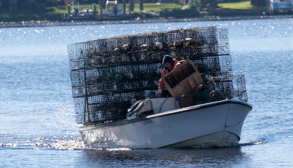 Can you get a few more crab traps on the boat? by rickster549
