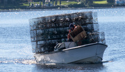 16th Jan 2016 - Can you get a few more crab traps on the boat?