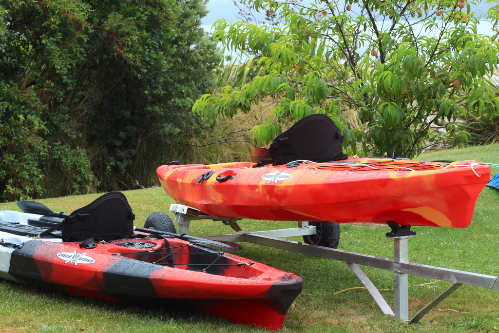 Kayaks are such fun by kiwinanna