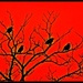 Blackbirds singing in the dead of night... by soylentgreenpics