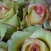 roses on the market stall by quietpurplehaze