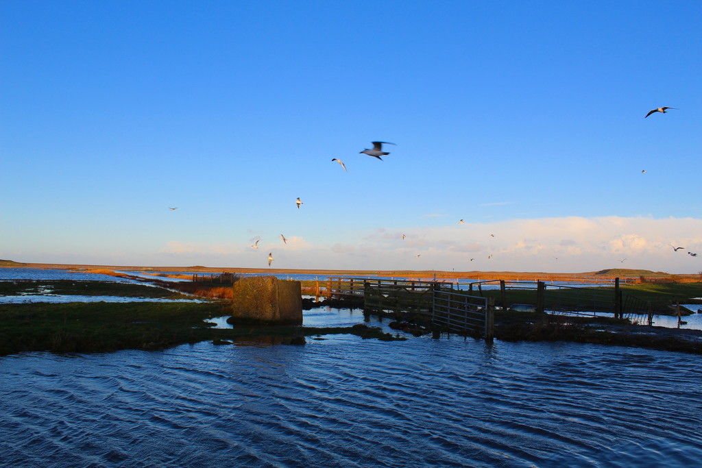 Salthouse Marshes by jeff