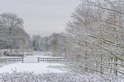16th Jan 2016 - Snow In The Park