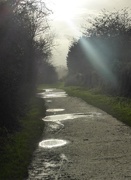 14th Jan 2016 - Puddles and light at Priory 