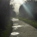 Puddles and light at Priory  by helenhall