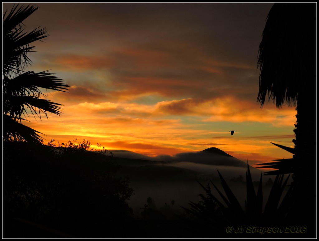 Unbelievable Sunday morning sunrise in Arroyo Grande, Ca. by soylentgreenpics