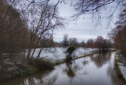17th Jan 2016 - Snowy Day Along the River Wey