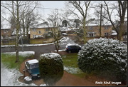 17th Jan 2016 - The view from my bedroom window this morning