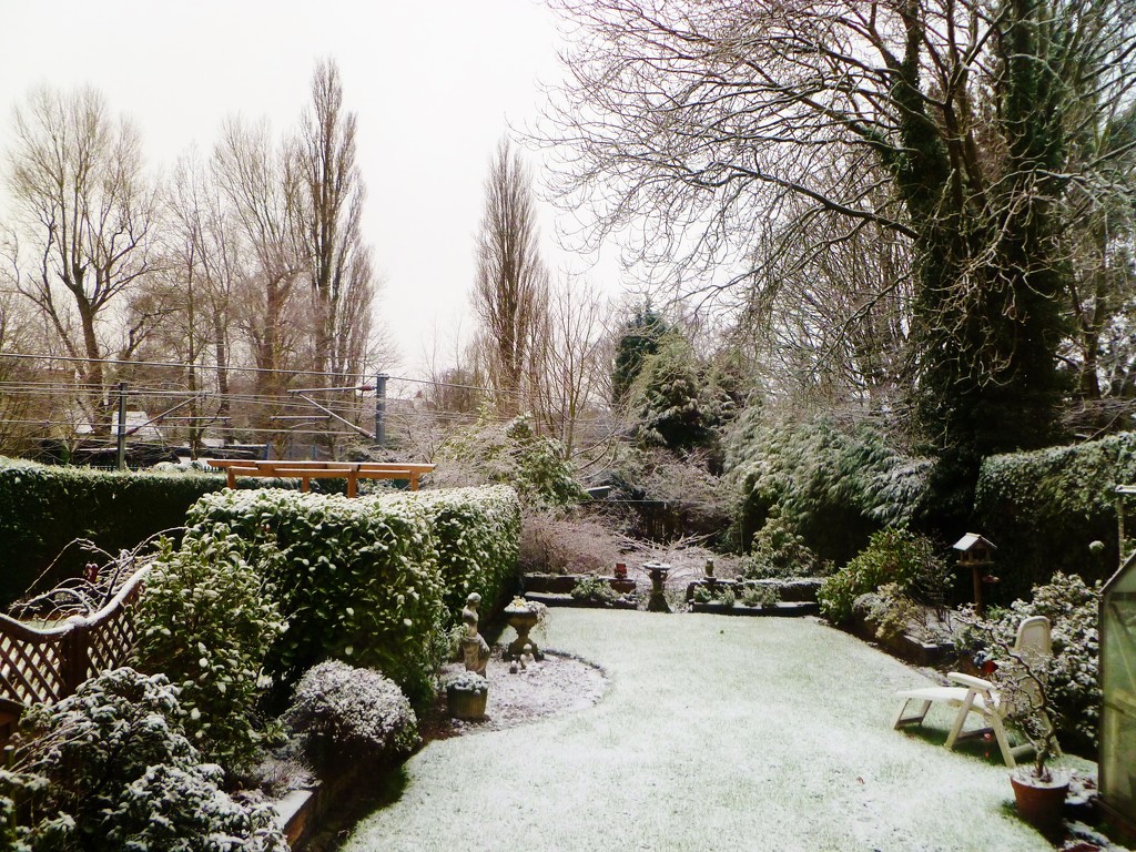 First Snow in My Garden by moominmomma