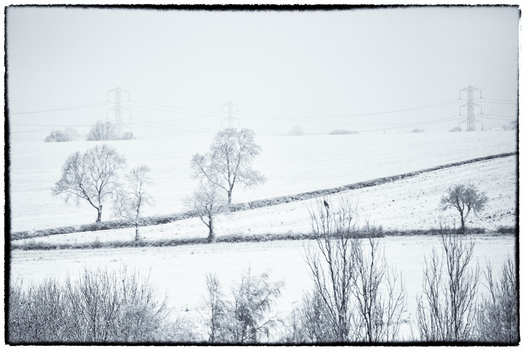 2016 01 17 - View from my window by pamknowler