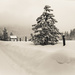 Creamtone Winter by epcello