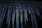 17th Jan 2016 - Icicles