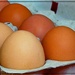 Eggs by olivetreeann