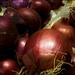 Onions by olivetreeann