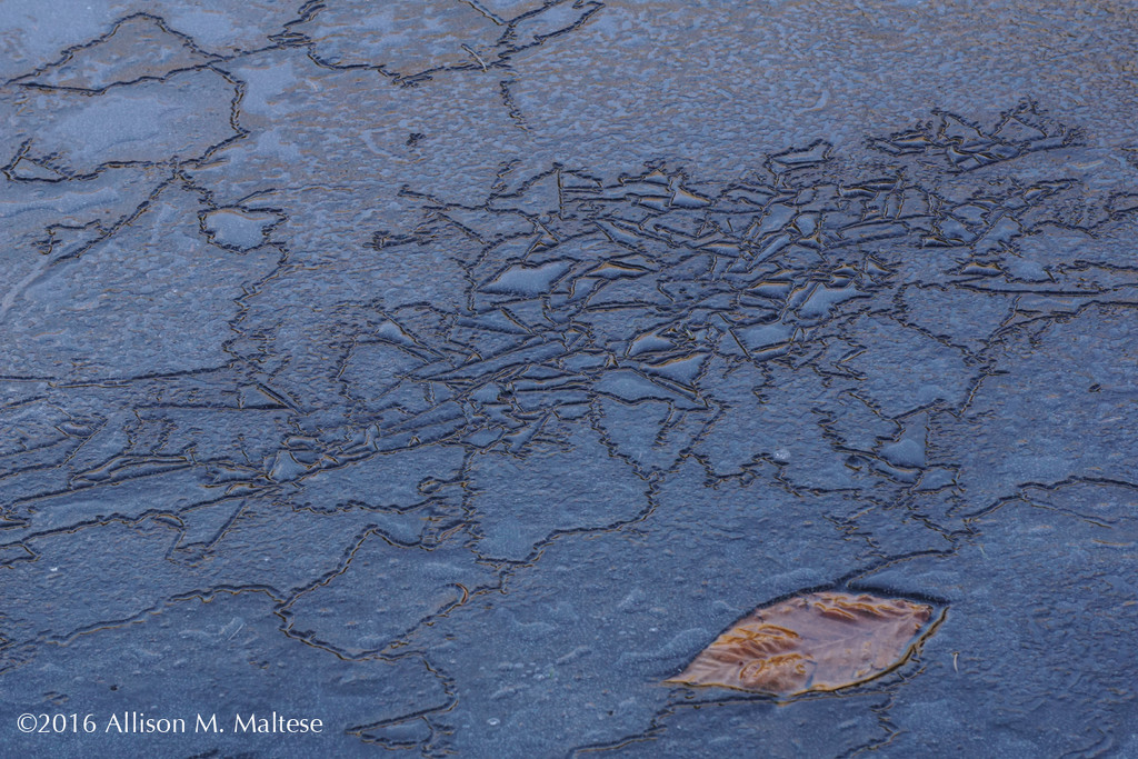 Patterns in the Ice by falcon11