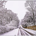 A Brief Glimpse Of Winter by carolmw