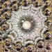 Chandelier from the inside.  by cocobella