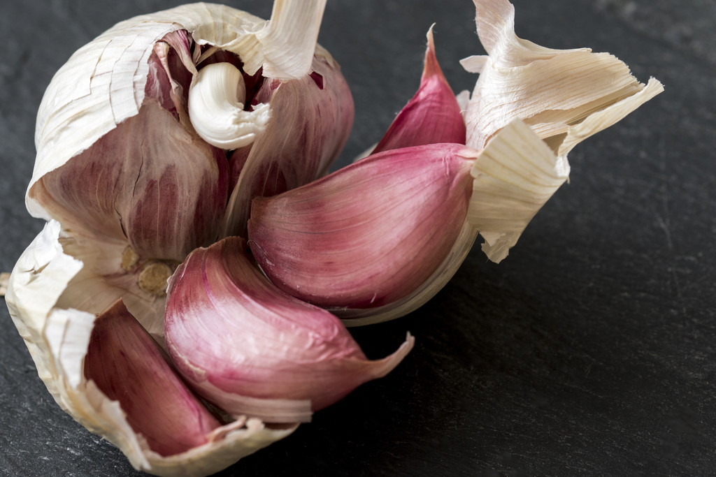 Garlic by bizziebeeme