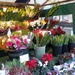 Flower Stall Cambridge  by foxes37