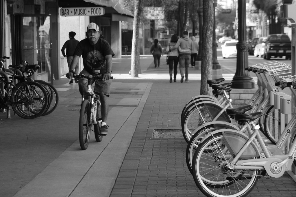 bikes_72:365 by gaylewood