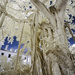 Under the Ivory Tree by gardencat