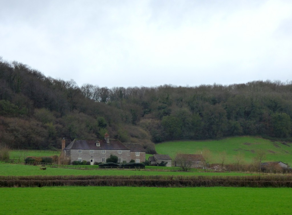 Farm nestled under Pitney Wood by julienne1
