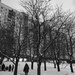 Hey Russian Winter  by sarahabrahamse