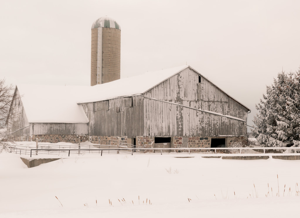 Snowwashed barn by tracymeurs