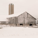 Snowwashed barn by tracymeurs