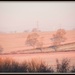 2016 01 19 - Pink Frost by pamknowler
