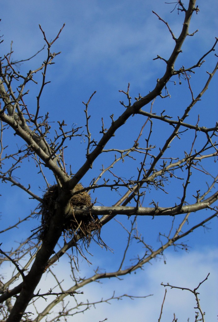 Empty Nester  by tunia