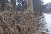 15th Jan 2016 - Clunie River debris 