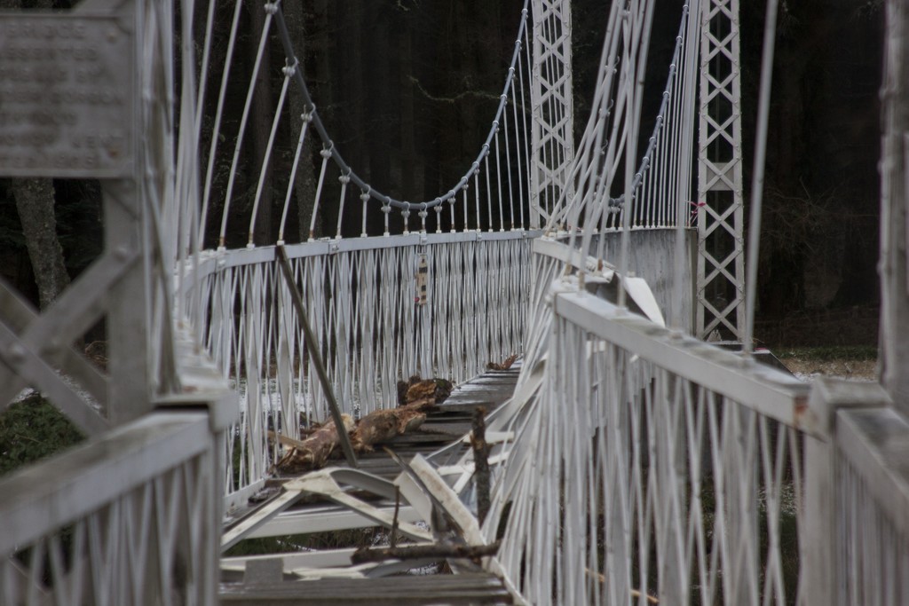 Cambus O' May Suspension bridge by jamibann