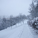 Winter wonderland 2 by elisasaeter
