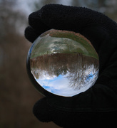 20th Jan 2016 - Park scene in the crystal ball